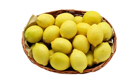 BAMELO® Zitronen Kiste frisch schnell Versand 5 Kg von Bamelo