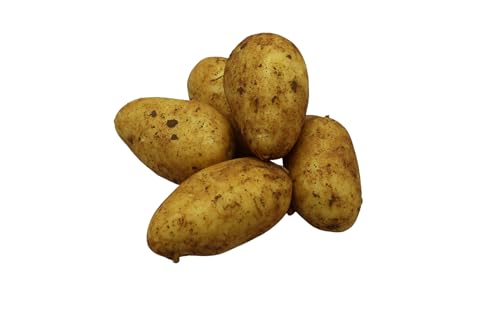 BAMELO® Zypern Kartoffeln FRÜHKARTOFFELN 3 KG von Bamelo