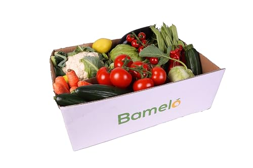 BAMELO® frische Gemüsebox - Bunte Vielfalt an Gemüse Kiste 5kg von Bamelo