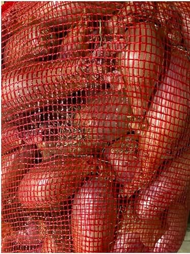 Zwiebeln Schalotten frisch schnell Versand 5 Kg von Bamelo