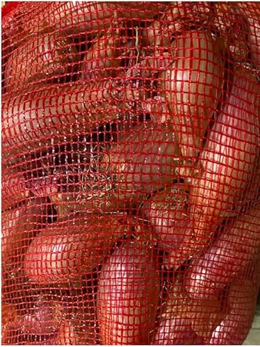 Zwiebeln Schalotten frisch schnell Versand 5 Kg Zwiebeln Schalotten frisch schnell Versand 5 Kg von Bamelo
