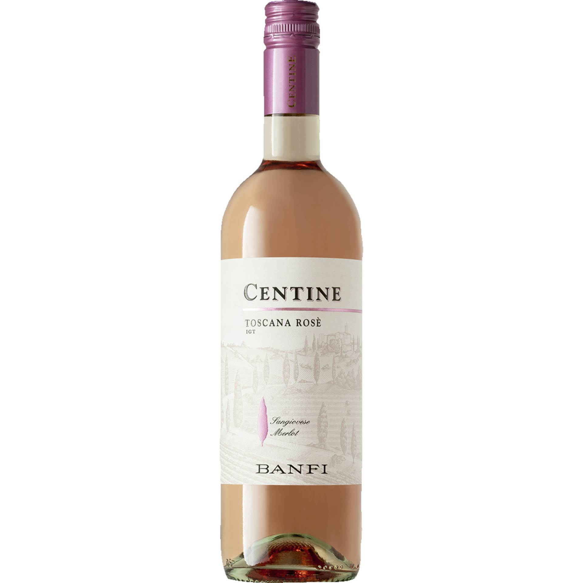 Centine Rosato, Toscana IGT, Toskana, 2023, Roséwein Centine Rosato, Toscana IGT, Toskana, 2023, Roséwein von Banfi S.A. S.r.l., 53024 Montalcino, Italia
