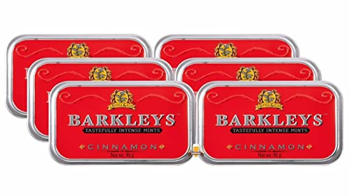 BARKLEYS Tastefully Intense Mints Cinnamon 15g von Barkleys