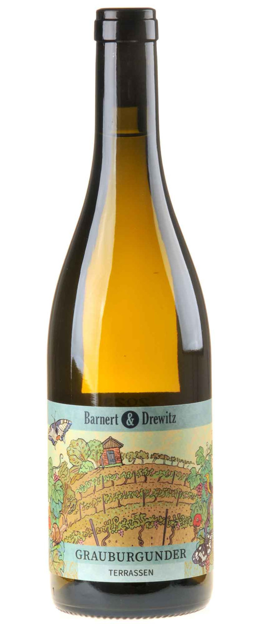 Barnert & Drewitz Grauburgunder Alte Reben - Terrassen 2023 von Barnert & Drewitz