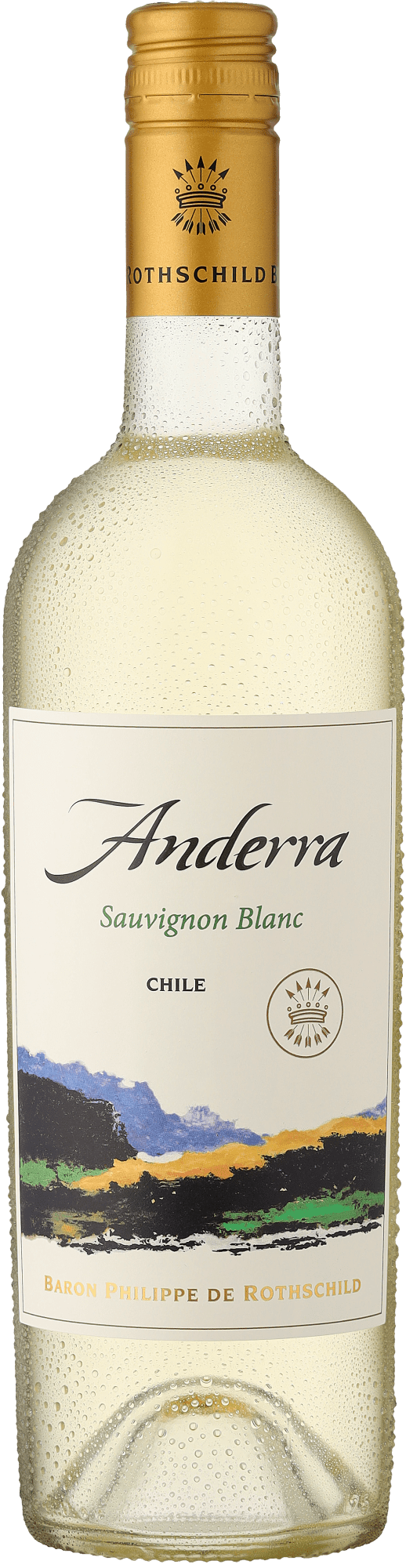 Rothschild Anderra Sauvignon Blanc Rothschild Anderra Sauvignon Blanc von Baron Philippe de Rothschild - Chile