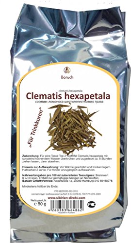 Clematis hexapetala - 50g von Baruch