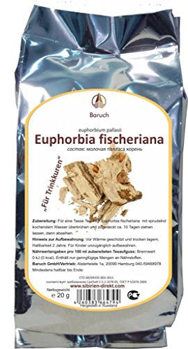 Euphorbia fischeriana - 20g Euphorbia fischeriana - 20g von Baruch