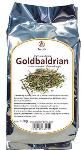 Goldbaldian - (Patrinia sibirica) - 50g von Baruch