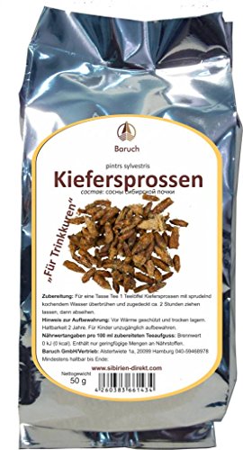 Kiefersprossen - (Pyntrs Syltvestris) - 50g von Baruch