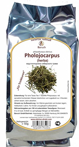 Phlojodicarpus - (Phlojodicarpus sibiricus) - 50g von Baruch
