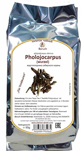 Phlojodicarpus Wurzel - (Phlojodicarpus sibiricus) - 50g von Baruch