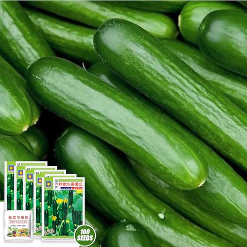 Gurken Samen, 100 Obst Gurkensamen + Dünger 25g, Gurkensamen, Einlegegurken Samen, Snackgurken Samen, Gemüsesamen, Salatgurken, Bio Einlegegurken Samen für Balkon, Garten, Hochbeet Gurken Samen, 100 Obst Gurkensamen + Dünger 25g, Gurkensamen, Einlegegurken Samen, Snackgurken Samen, Gemüsesamen, Salatgurken, Bio Einlegegurken Samen für Balkon, Garten, Hochbeet von Beinup