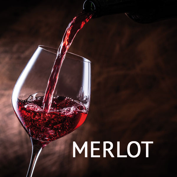 Weinpaket Merlot von Bela Online Service