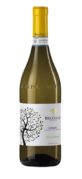 Langhe DOC Nascetta 2023 von Belcolle