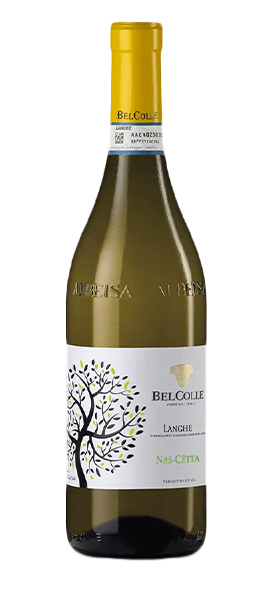 Langhe DOC Nascetta 2024 von Belcolle