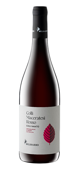 "Coll'Amato" Colli Maceratesi Rosso DOC 2022 von Belisario