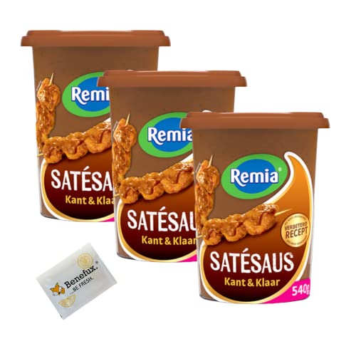 Remia Satésaus kant en klaar XL vegan für authentische Asia-Gerichte 3x 540g + Benefux. Erfrischungstuch 1,62kg von Benefux.