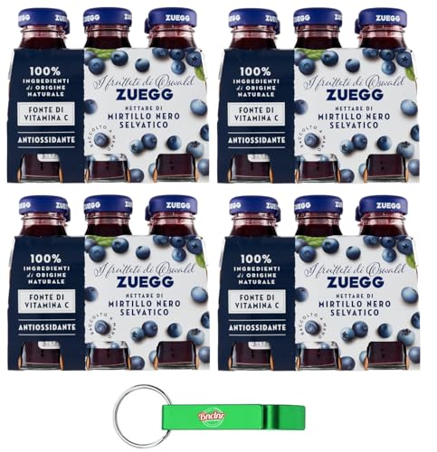 24er-Pack Zuegg Nettare di Mirtillo Nero,Heidelbeer-Nektar,Heidelbeersaft,Erfrischendes alkoholfreies Getränk,125ml Einweg-Glasflasche + Beni Culinari Kostenloser Schlüsselanhänger von Beni Culinari