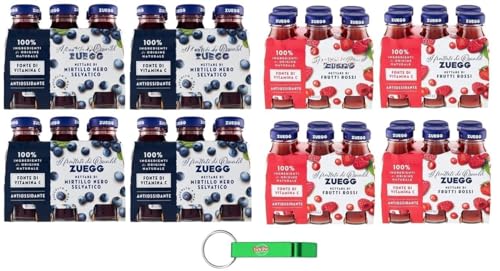 48x Zuegg Testpaket Frutti Rossi + Mirtillo,Roter Fruchtsaft + Heidelbeersaft Fruchtsaft,Erfrischendes alkoholfreies Getränk,125ml Einweg-Glasflasche + Beni Culinari Kostenloser Schlüsselanhänger 48x Zuegg Testpaket Frutti Rossi + Mirtillo,Roter Fruchtsaft + Heidelbeersaft Fruchtsaft,Erfrischendes alkoholfreies Getränk,125ml Einweg-Glasflasche + Beni Culinari Kostenloser Schlüsselanhänger von Beni Culinari