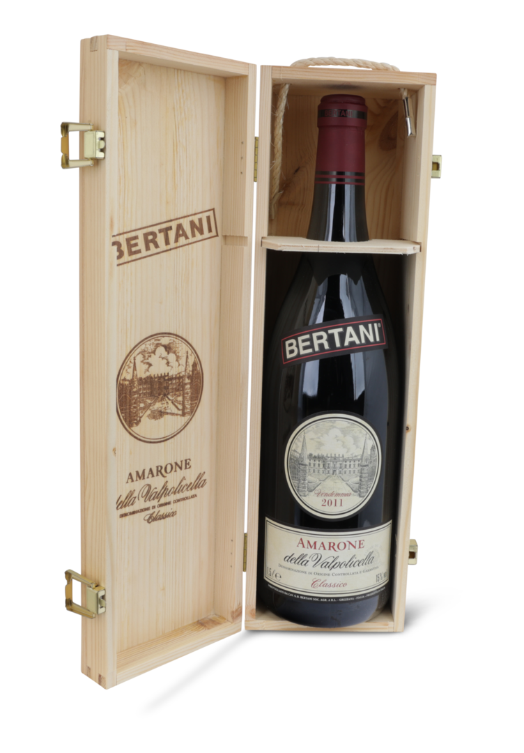 2011 Amarone della Valpolicella Classico DOCG von Bertani Domains