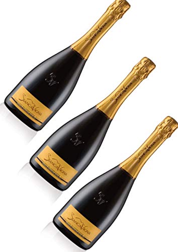 Sekt - 3 Flaschen x 0,750 l. -Conegliano Valdobbiadene D.O.C.G. Extradry Prosecco Superiore Millesimato - BiancaVigna von BiancaVigna