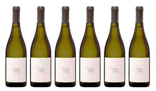 6x 0,75l - 2024er - Bidoli - Arrigo Bidoli - Sauvignon Blanc - Alto Adige D.O.P. - Südtirol - Italien - Weißwein trocken 6x 0,75l - 2024er - Bidoli - Arrigo Bidoli - Sauvignon Blanc - Alto Adige D.O.P. - Südtirol - Italien - Weißwein trocken von Bidoli