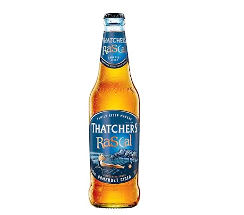 12 x Thatchers Rascal 0,5l- Refreshing Amber Somerset Cider mit 4,5% Vol. - Apfelwein aus Großbritannien von Bier