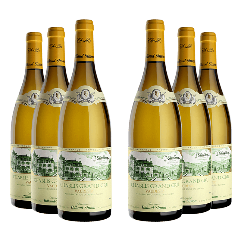 Billaud-Simon : Chablis Grand cru "Vaudésir" 2022 Billaud-Simon : Chablis Grand cru "Vaudésir" 2022 von Billaud-Simon