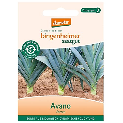 Porree Blaugrüner Winter 6 x 1 Stk von Bingenheimer Saatgut AG