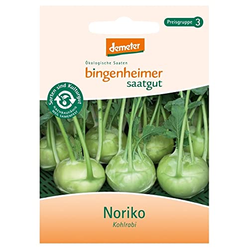 Bingenheimer Saatgut AG Kohlrabi Orinoko (1 x 1 Stk) von Bingenheimer Saatgut AG