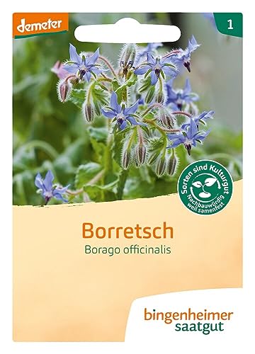 Borretsch Borretsch von Bingenheimer Saatgut AG