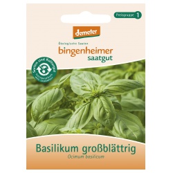 Basilikum, großblättrig Basilikum, großblättrig von Bingenheimer Saatgut