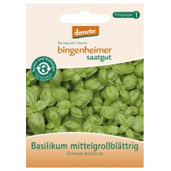 Basilikum, mittelgroßblättrig von Bingenheimer Saatgut