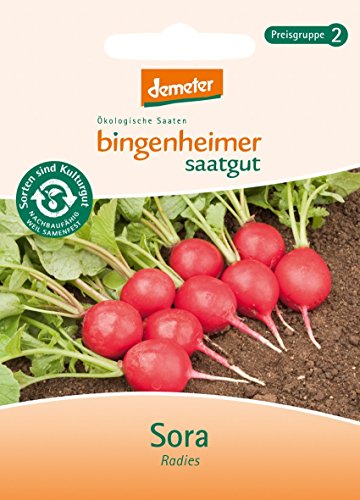 Bingenheimer Saatgut - Radieschen Radies Sora - Gemüse Saatgut / Samen von Bingenheimer Saatgut