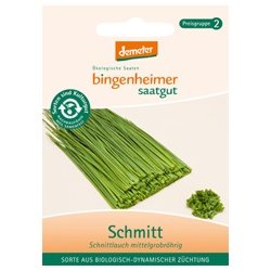 Bingenheimer Saatgut - Schnittlauch Schmitt mittelgrobröhrig - Kräuter Saatgut / Samen von Bingenheimer Saatgut AG