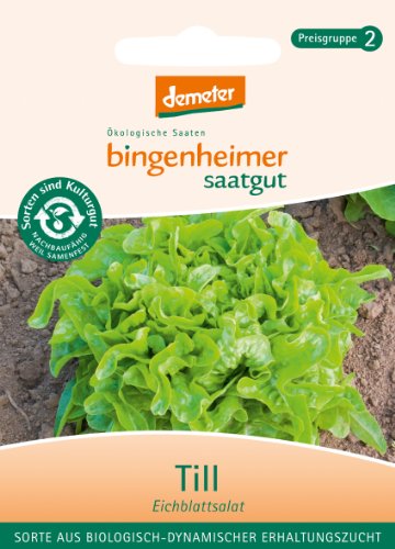 Bingenheimer Saatgut - Pflücksalat Eichblattsalat Till - Gemüse Saatgut / Samen von Bingenheimer Saatgut AG