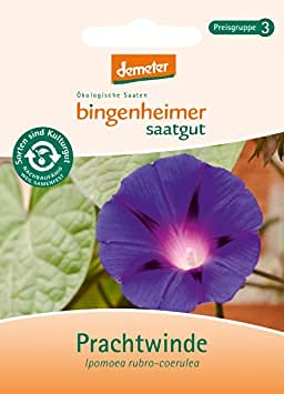 Bingenheimer Saatgut - Prachtwinde Bingenheimer Saatgut - Prachtwinde von Bingenheimer Saatgut