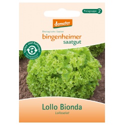 Blattsalat Lollo Bionda von Bingenheimer Saatgut