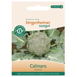 Brokkoli Calinaro Brokkoli Calinaro von Bingenheimer Saatgut