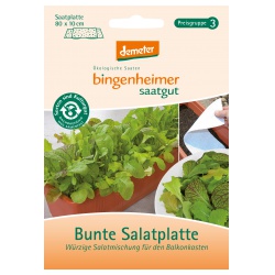 Bunte Salatplatte für den Balkonkasten von Bingenheimer Saatgut