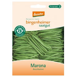 Buschbohnen Marona Buschbohnen Marona von Bingenheimer Saatgut