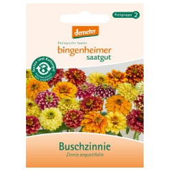 Buschzinnie von Bingenheimer Saatgut