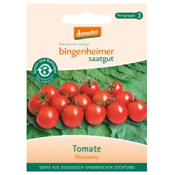 Cocktailtomaten Philamina Cocktailtomaten Philamina von Bingenheimer Saatgut