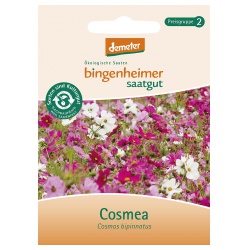 Cosmea Cosmea von Bingenheimer Saatgut