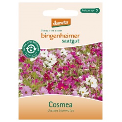 Cosmea von Bingenheimer Saatgut