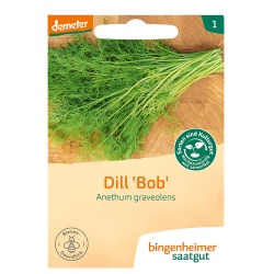 Dill von Bingenheimer Saatgut