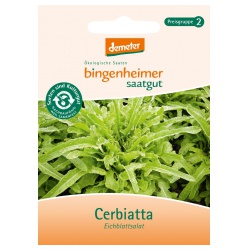 Eichblattsalat Cerbiatta Eichblattsalat Cerbiatta von Bingenheimer Saatgut