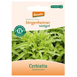 Eichblattsalat Cerbiatta von Bingenheimer Saatgut