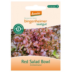 Eichblattsalat Red Salad Bowl von Bingenheimer Saatgut