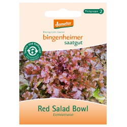 Eichblattsalat Red Salad Bowl Eichblattsalat Red Salad Bowl von Bingenheimer Saatgut